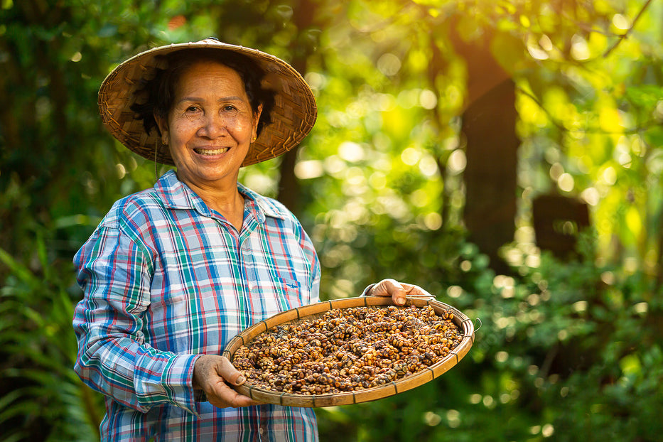 Bali Kintamani Highlands Coffee - Indonesia