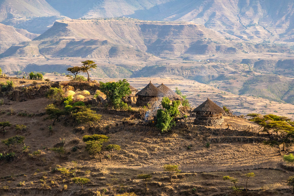 Ethiopia Agaro Coffee - Africa